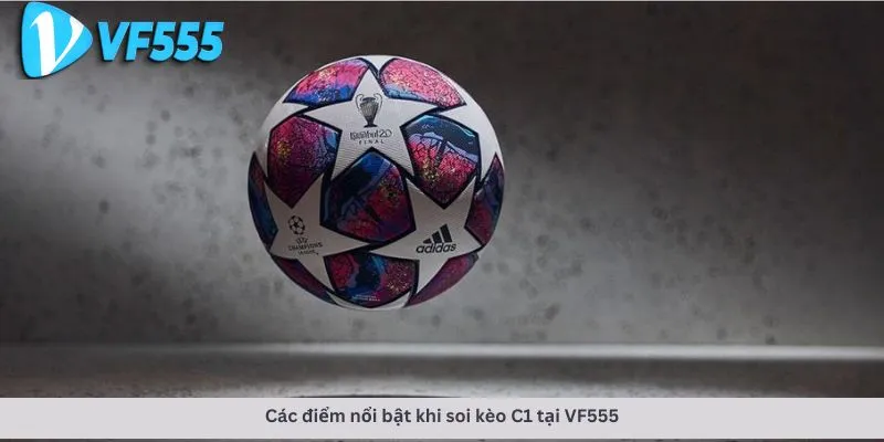 Các điểm nổi bật
