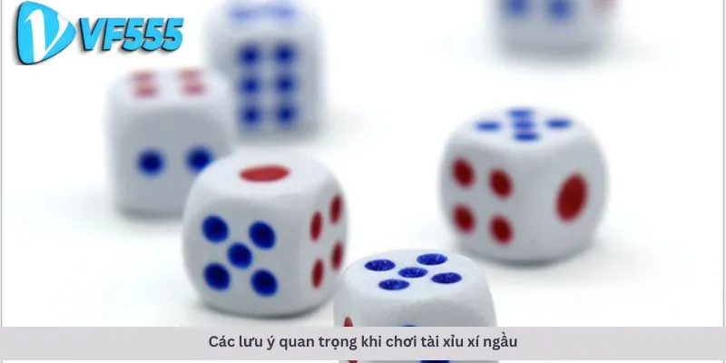Tài xỉu xí ngầu 4 Các lưu ý quan trọng