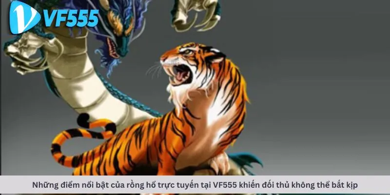 Những điểm nổi bật