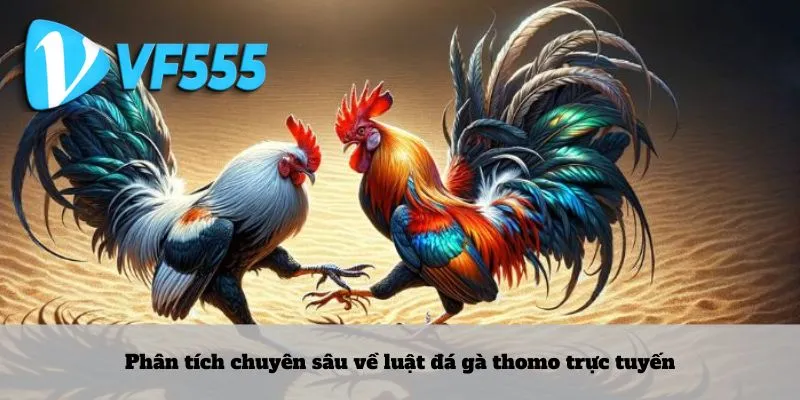 Phân tích chuyên sâu về luật đá gà thomo trực tuyến
